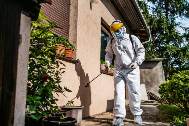 Best Wasp Removal Services  in Missouri Valley, IA