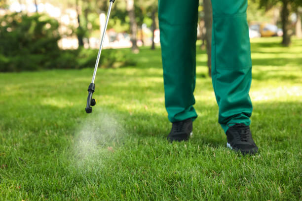 Best Pest Removal Services  in Missouri Valley, IA