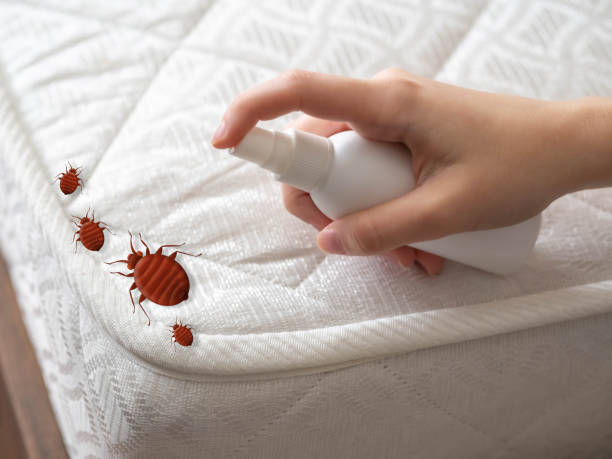 Best Mosquito Control Services  in Missouri Valley, IA